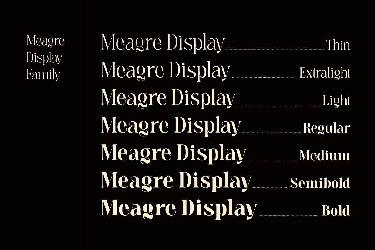 Meagre Display - 90s  Serif Family, a Serif Font by Holyline Design (Photo 2 of 15)