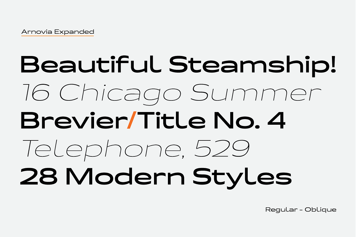 Arnovia Expanded, a Sans Serif Font by Ainun Jinan (Photo 7 of 10)
