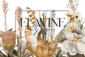 ELAVINE — Luxury Prints