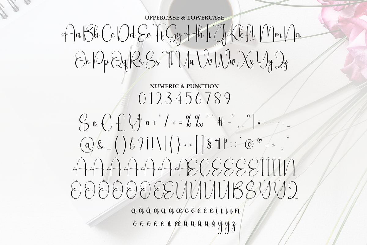 Calligraphy | Script Font, a Handwritten Font by Scratchones (Photo 7 of 8)