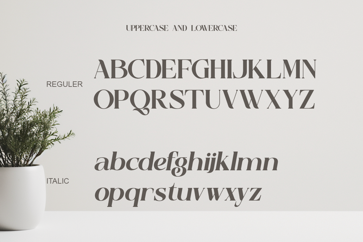 Slamyon - Elegant Swash Display, a Serif Font by Qweera Studio (Photo 10 of 12)