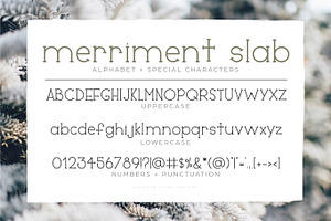 Merriment Sans Slab Font Duo