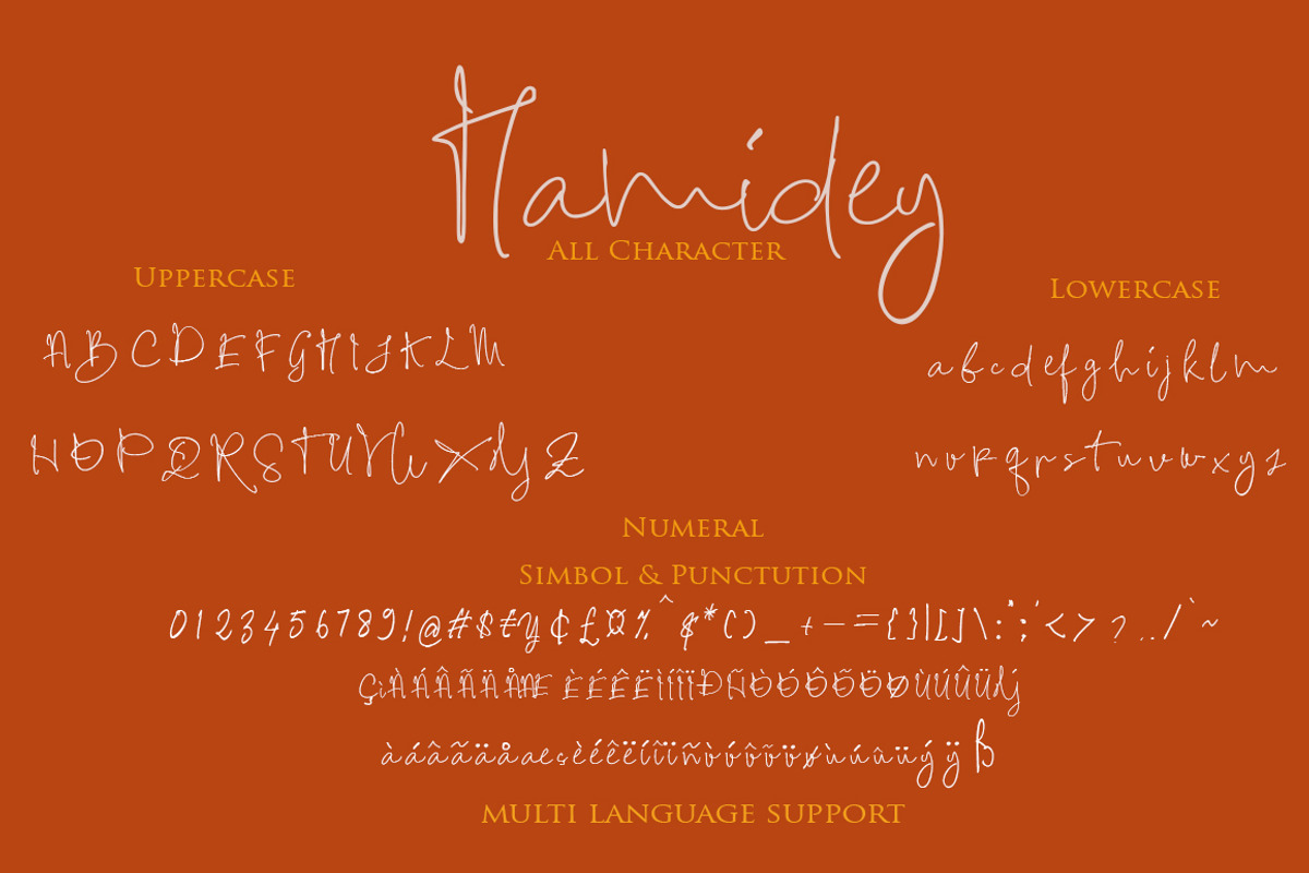 Hamidey Signature Script, a Script Font by ALIVECREATIVE (Photo 5 of 5)