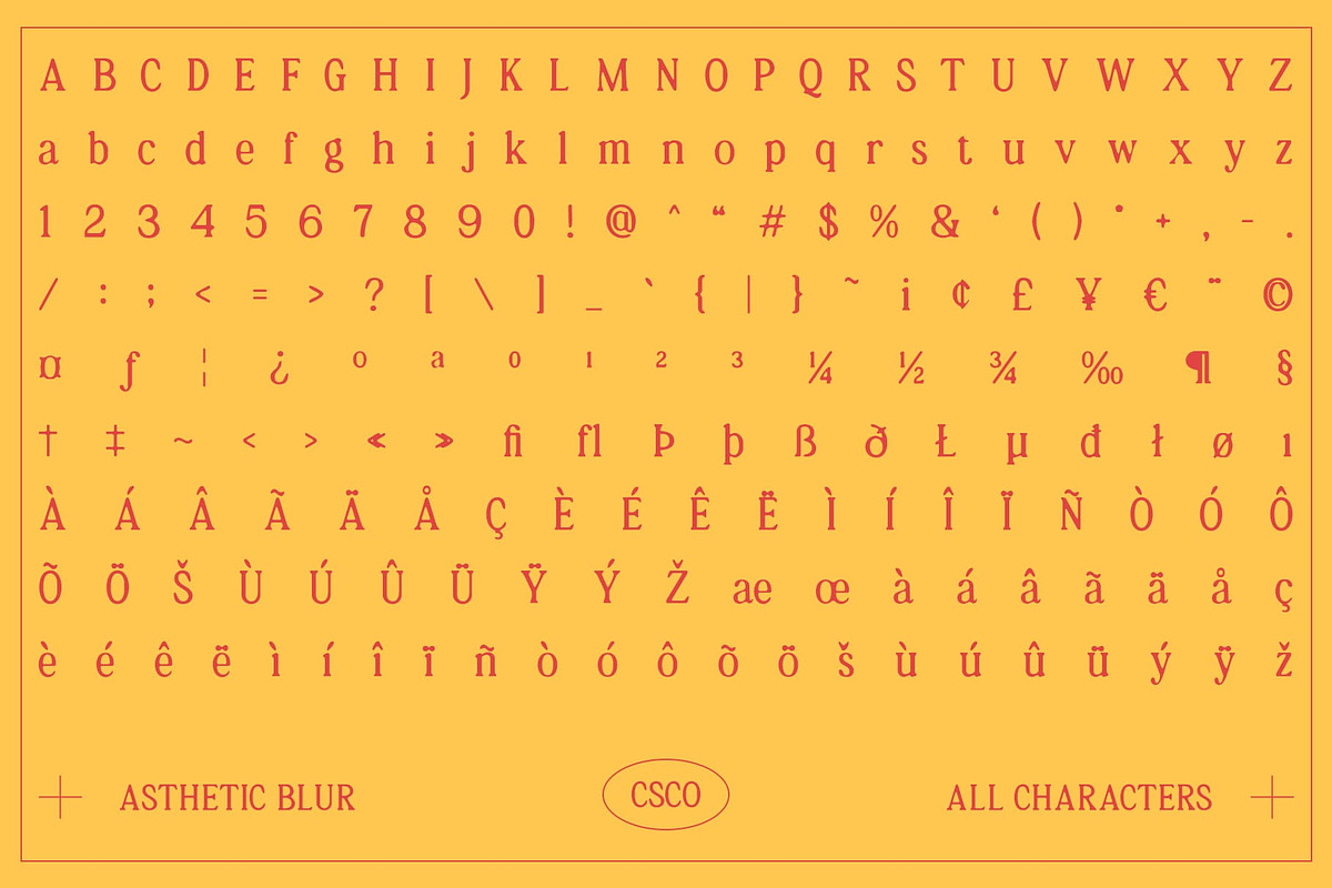 Asthetic Blur, a Serif Font by Craft Supply Co. (Photo 8 of 8)