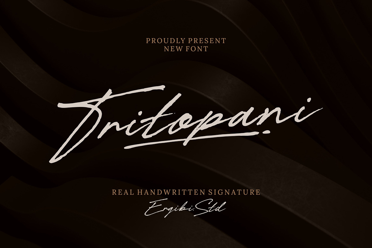 Tritopani - Real Signature, a Handwritten Font by ErgibiStudio (Photo 1 of 10)