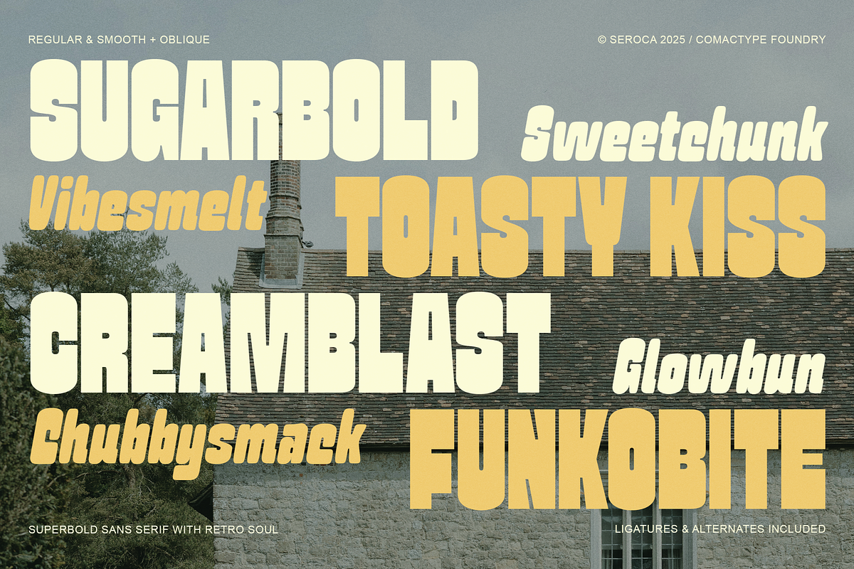 SEROCA - A Funky Sans Serif Font, a Sans Serif Font by Comactype Foundry (Photo 8 of 15)