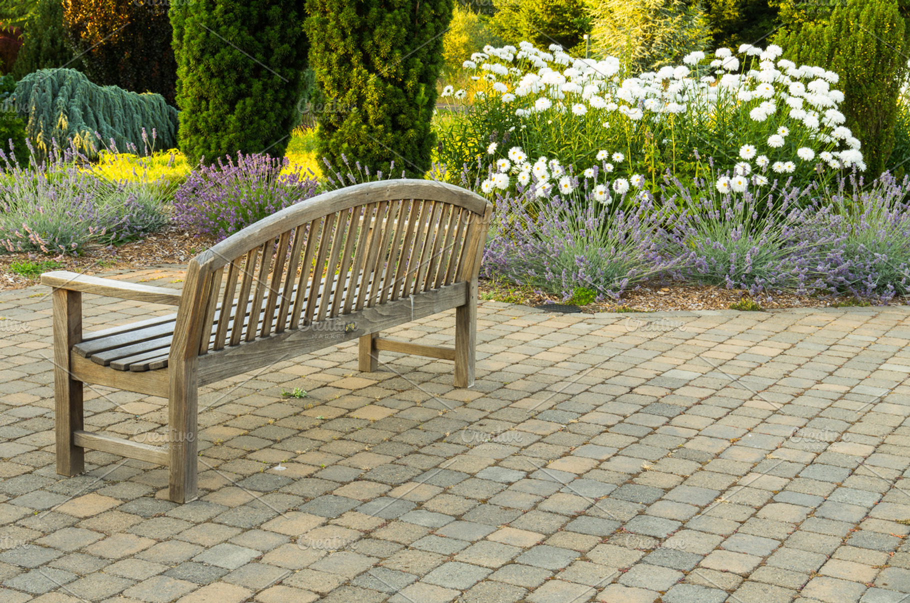 Park bench on paved walk