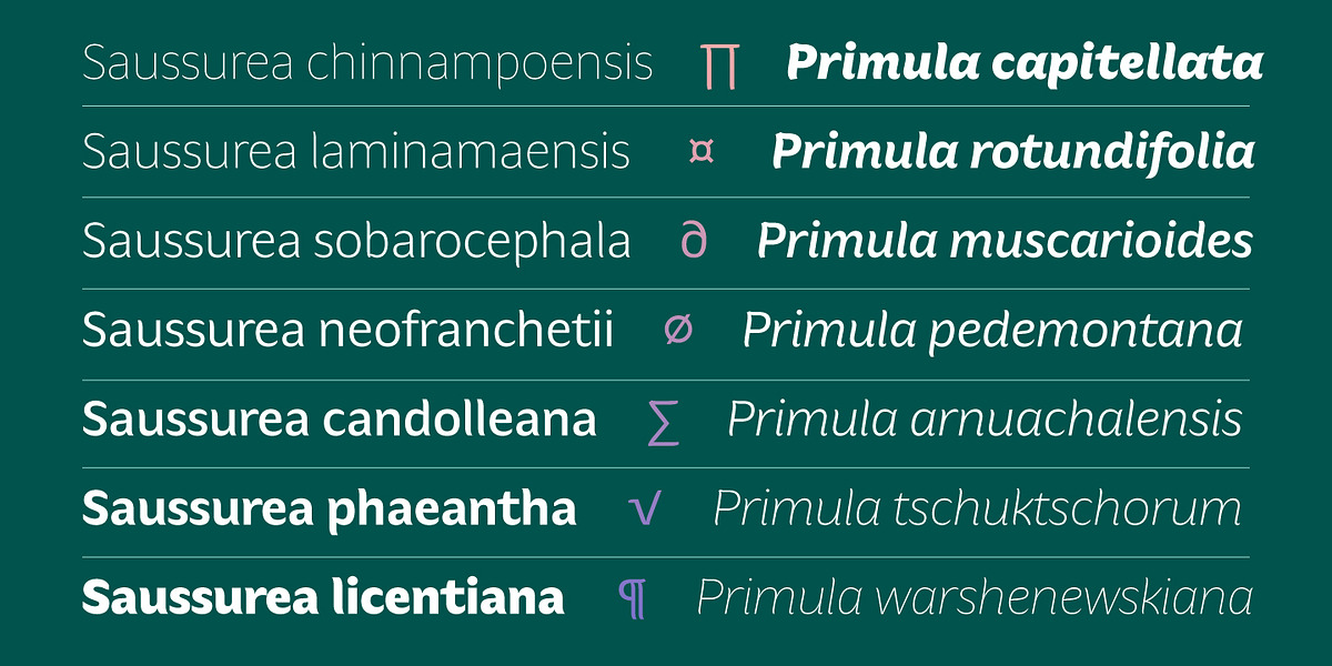 Hua, a Sans Serif Font by YXType (Photo 4 of 10)