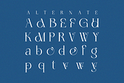 Lysoule - Minimal Luxury Ligature, a Serif Font by Qweera Studio (Thumbnail 10 of 12)