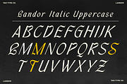 TAN - LANDOR, a Blackletter Font by TanType (Thumbnail 11 of 14)