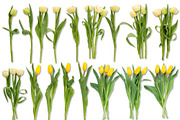 Scene Creator Colorful Spring&Easter, a Product Mockup by Anna_Zubkova (Thumbnail 6 of 7)
