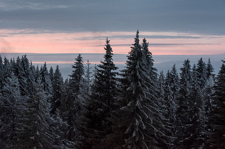 mountain forest in winter, a Background Photo by wr7 Media