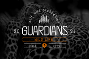 Qossta - Monoline Vintage Font, a Sans Serif Font by Saxofont (Thumbnail 2 of 10)