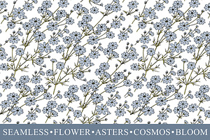 Seamless Flowers Asters Cosmos Bloom