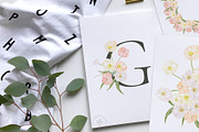Floral set, an Illustration by Blossom (Thumbnail 6 of 6)