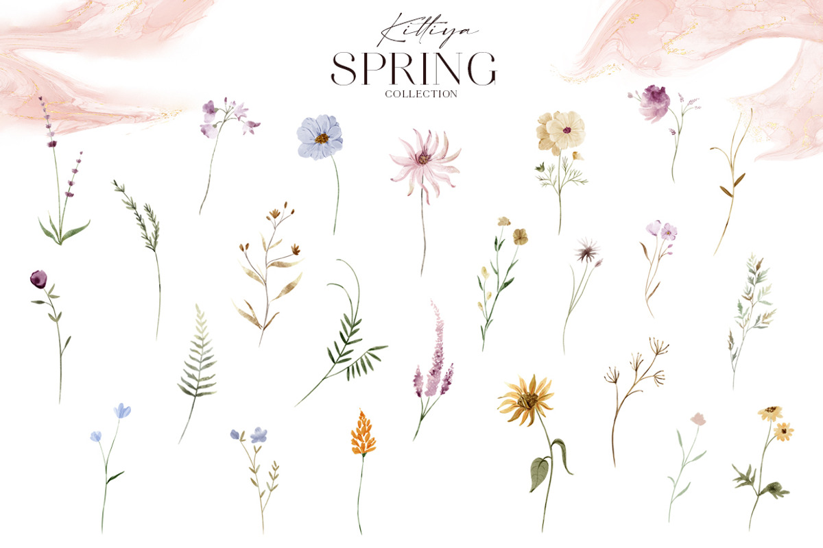 Spring flower collection, an Illustration by TheHappyGiftArt
