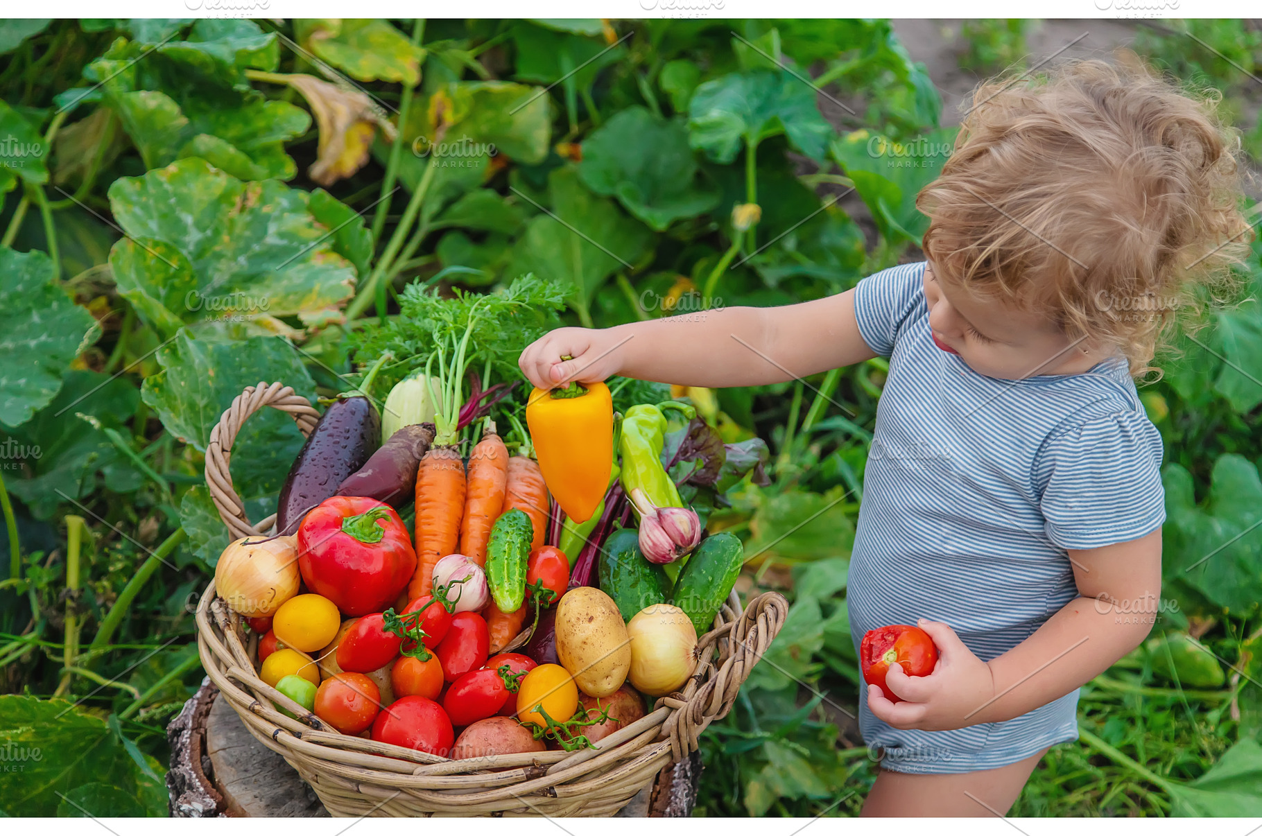 A child with a harvest of vegetables, a Food & Drink Photo by yanadjana