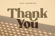 Calfint - Bold Serif Font, a Serif Font by Pekotype (Thumbnail 13 of 13)
