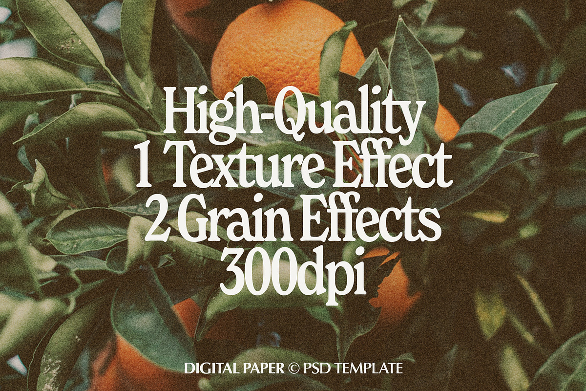 Digital Paper Texture Template, a Texture Graphic by Lewis Dohren (Photo 6 of 6)