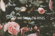 Meadow Notes - Handwritten Font, a Sans Serif Font by simpleblues (Thumbnail 12 of 12)