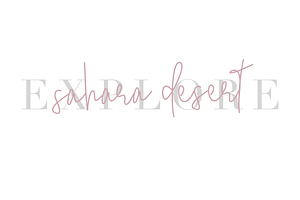 Serendipity Font - Chic Script