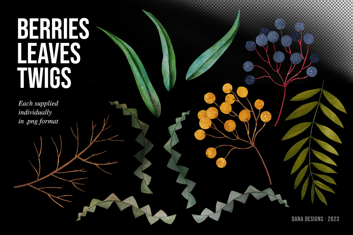 AUSTRALIA FAIR Elements, a Decorative Illustration by Dana Designs (Photo 3 of 14)