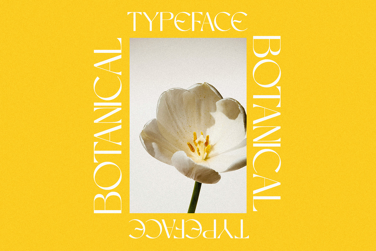Perennial - Elegant & Ligature Sans, a Sans Serif Font by Mikhail Kitsune (Photo 3 of 9)