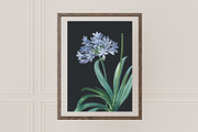 VINTAGE FLOWERS Vol.2 Watercolor Png, an Object Graphic by Oksana Trygub (Thumbnail 2 of 9)