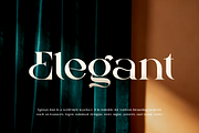 Egraqs - Luxury Serif Font, a Serif Font by QR Design Studio (Thumbnail 4 of 15)
