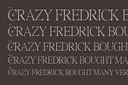 Doltcher Display Serif Typeface, a Serif Font by Designsation (Thumbnail 6 of 10)