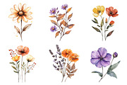 Autumn Wildflowers Clipart, an Illustration by CreationArt (Thumbnail 5 of 5)