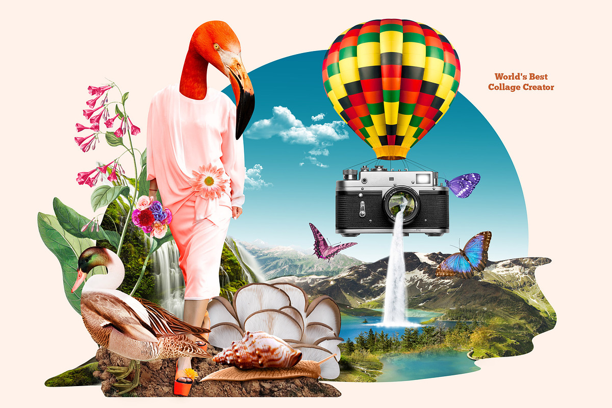 World's Best Collage Creator, an Animal Illustration by SNIPESCIENTIST (Photo 6 of 48)