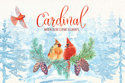 Cardinal bird watercolor clipart set, an Illustration by Art & Things (Thumbnail 3 of 6)
