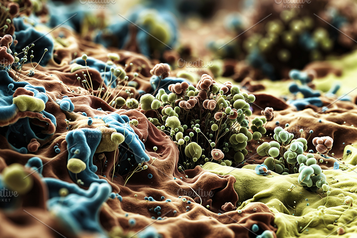 52 Fictional Microscopic Organisms, an Abstract Photo by h.utomo (Photo 26 of 52)