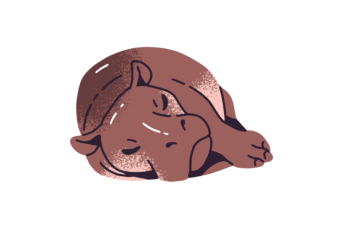 Cute hippos set + seamless patterns, an Animal Illustration by PaperTrident (Photo 4 of 14)