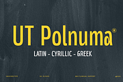 UT Polnuma - A Modern Sans Serif, a Sans Serif Font by Universitype (Thumbnail 1 of 12)