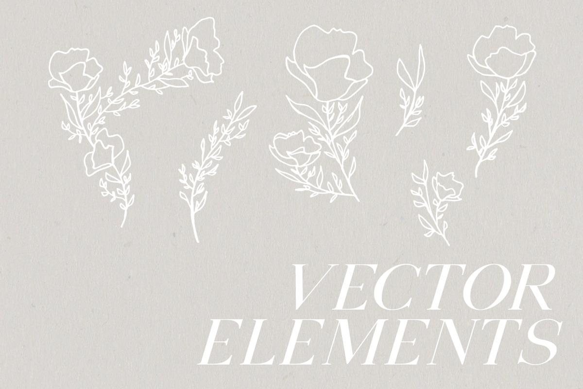 Montauk | Serif + Bonus Vectors preview 4