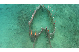 Underwater fish trap structure, a Nature Photo by Goinyk