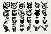 Owl svg bundle. Owl and moon, an Animal Illustration by DENIDigitalArtSudio (Thumbnail 2 of 6)