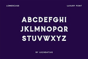 Rough Riders Modern Textured Font, a Serif Font by UICreative (Thumbnail 12 of 13)