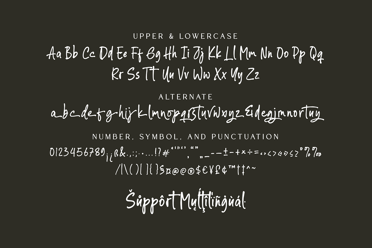 Silver Gowther Marker Font, a Script Font by Ainun Jinan (Photo 10 of 11)