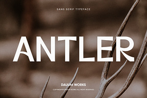 ANTLER - Sans Serif Typeface