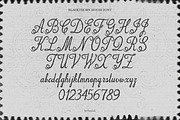 Blackthorn House Vintage Gothic Font, a Script Font by AnMark (Thumbnail 5 of 10)