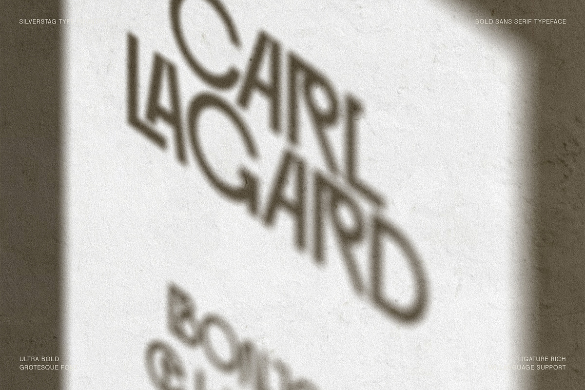 Baroque Grotesk - Ultra Bold Font, a Sans Serif Font by SilverStag Type Foundry (Photo 9 of 20)
