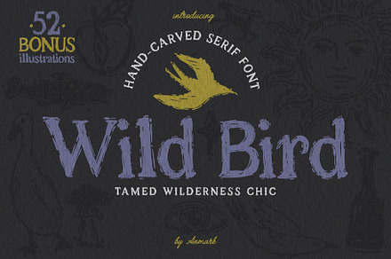 Wild Bird Hand Crafted Font, a Handwritten Font by AnMark