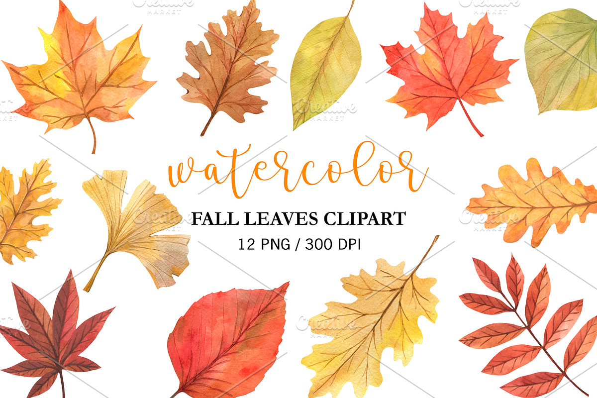 Watercolor Fall Leaves Clipart PNG, an Illustration by PatternPalette (Photo 1 of 2)