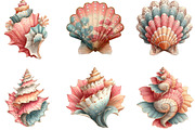 Watercolor Summer Seashell Clipart, an Illustration by Designking (Thumbnail 3 of 5)