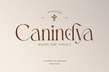Canindya - Modern Elegant Luxury