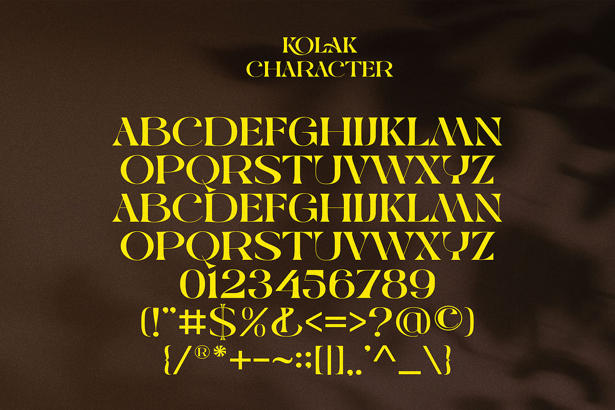 KOLAK-modern vintage, a Serif Font by ToniStudio (Photo 6 of 6)