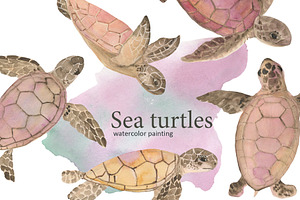 Sea turtles